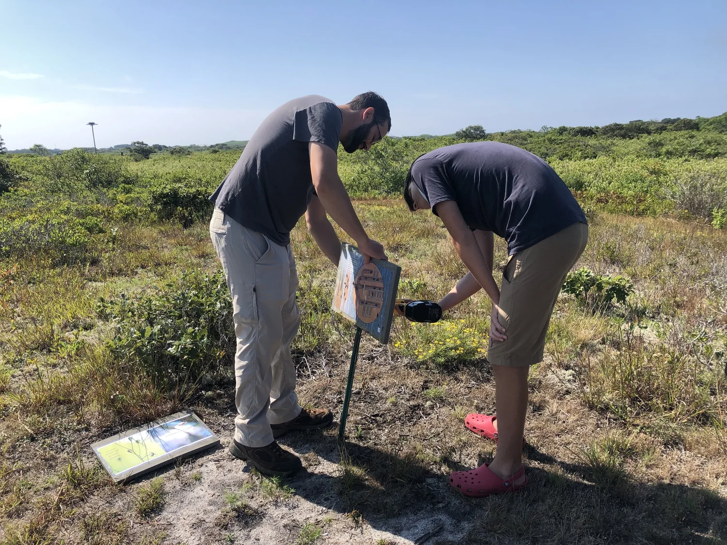 Story Walk Kids Nature Trail | Nantucket — Linda Loring Nature Foundation