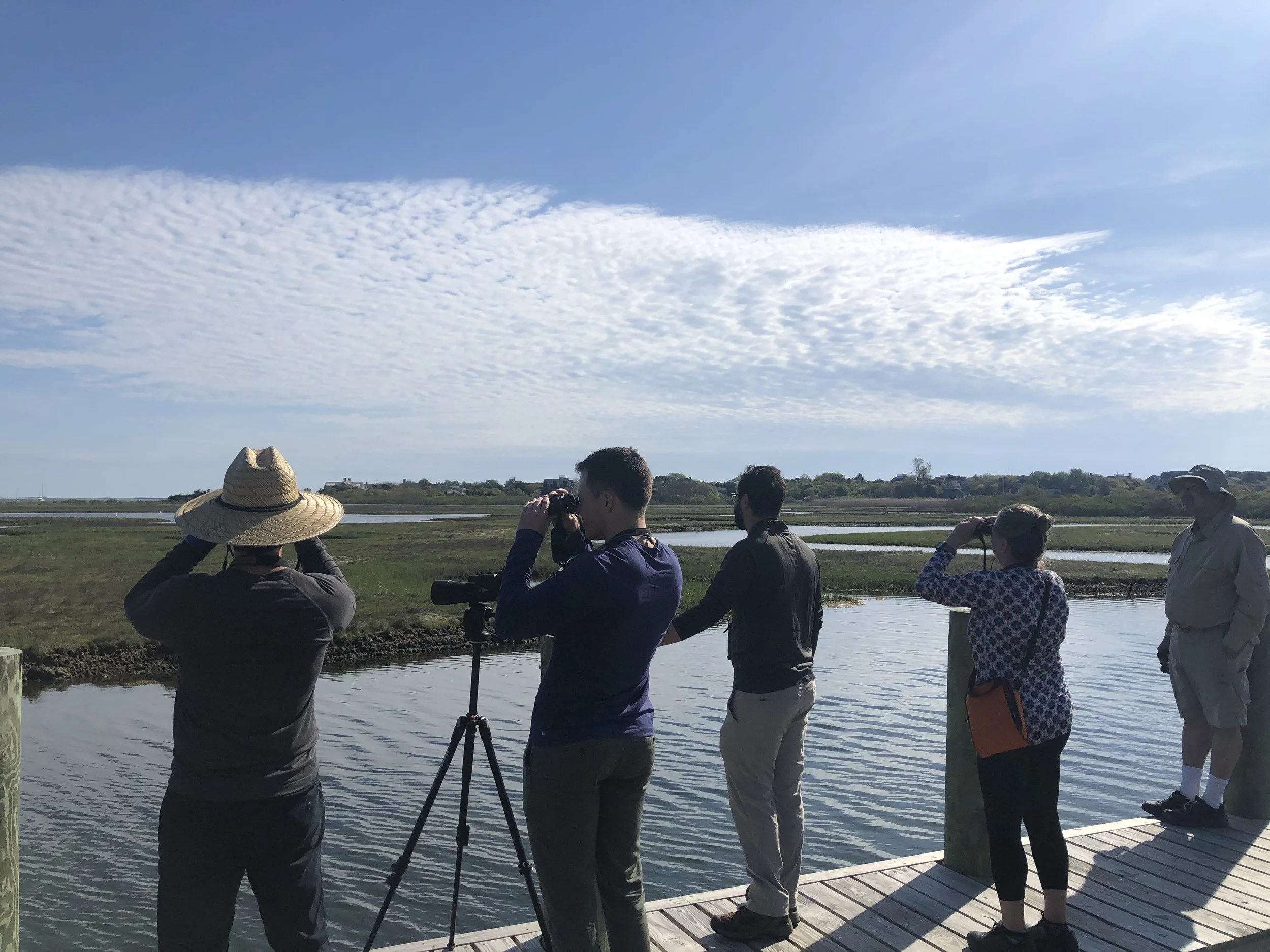 Free Birding Field Trips are back with the Linda Loring Nature ...