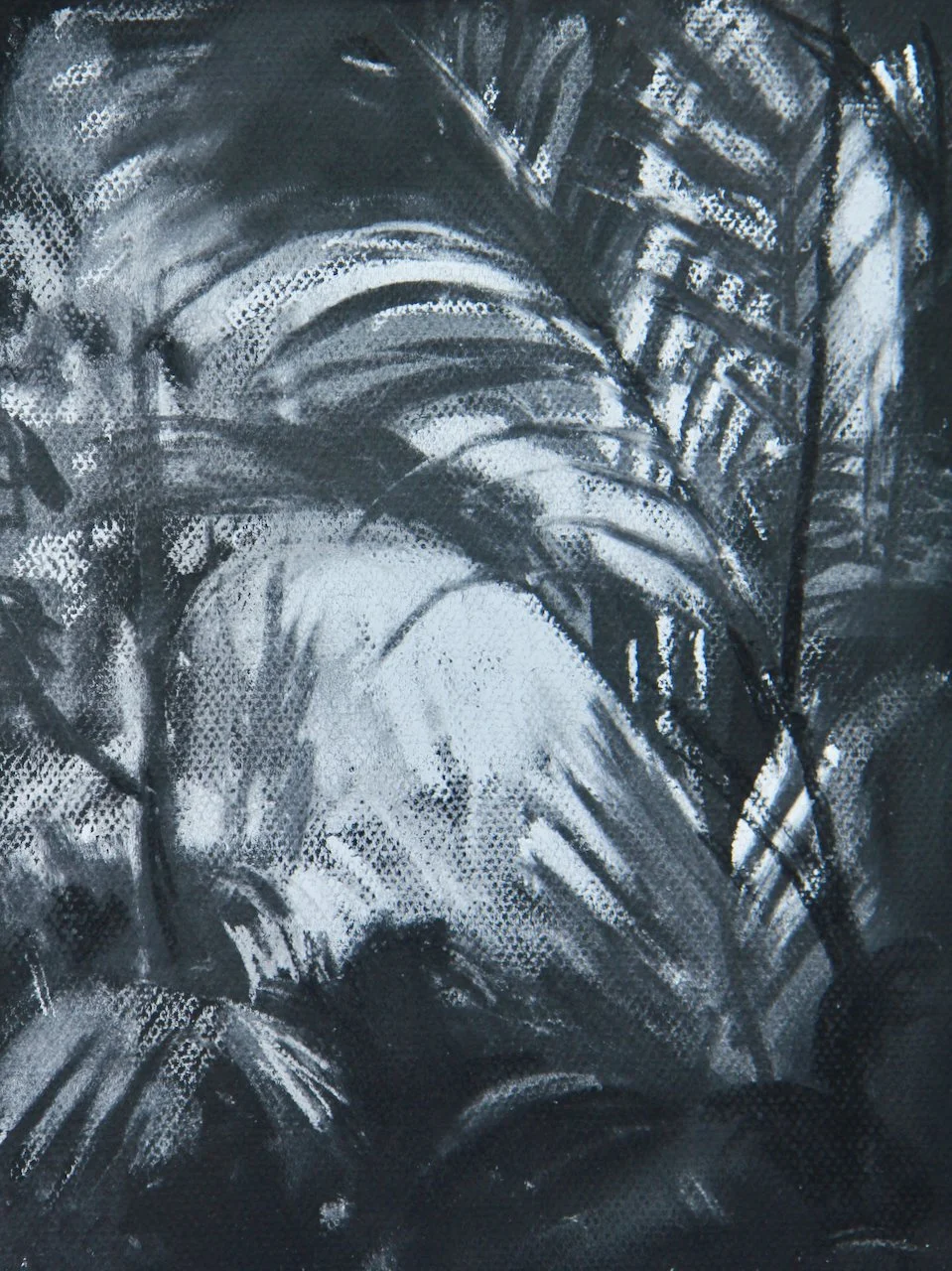 Kew Palm House