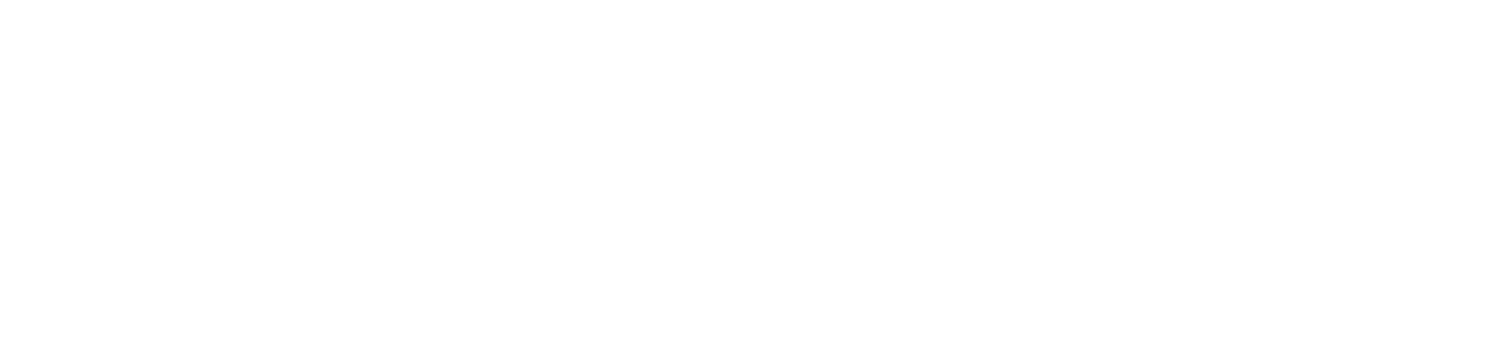 Star-Line-PON-BON.png