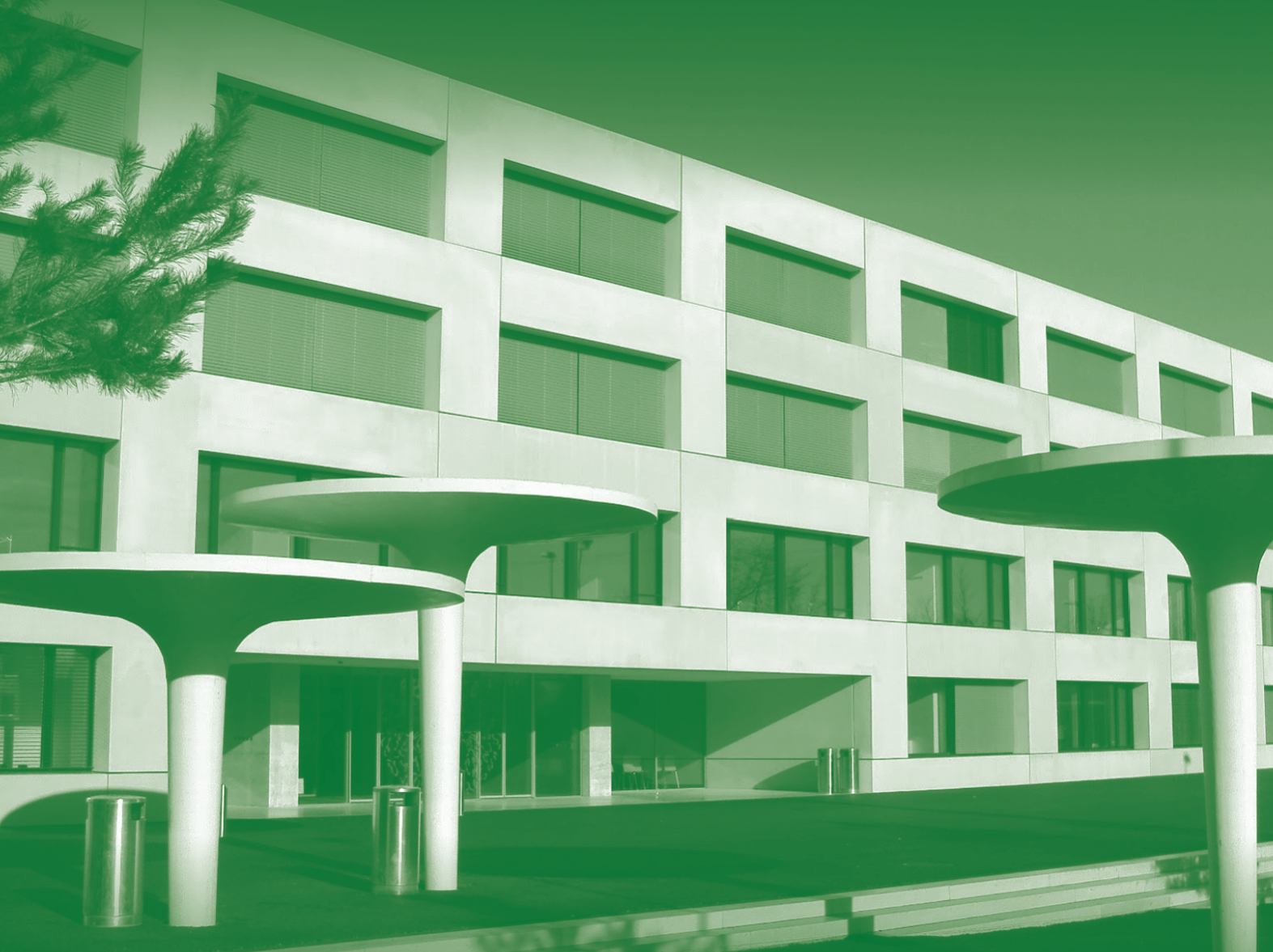Location_BBZG_greenmono.png