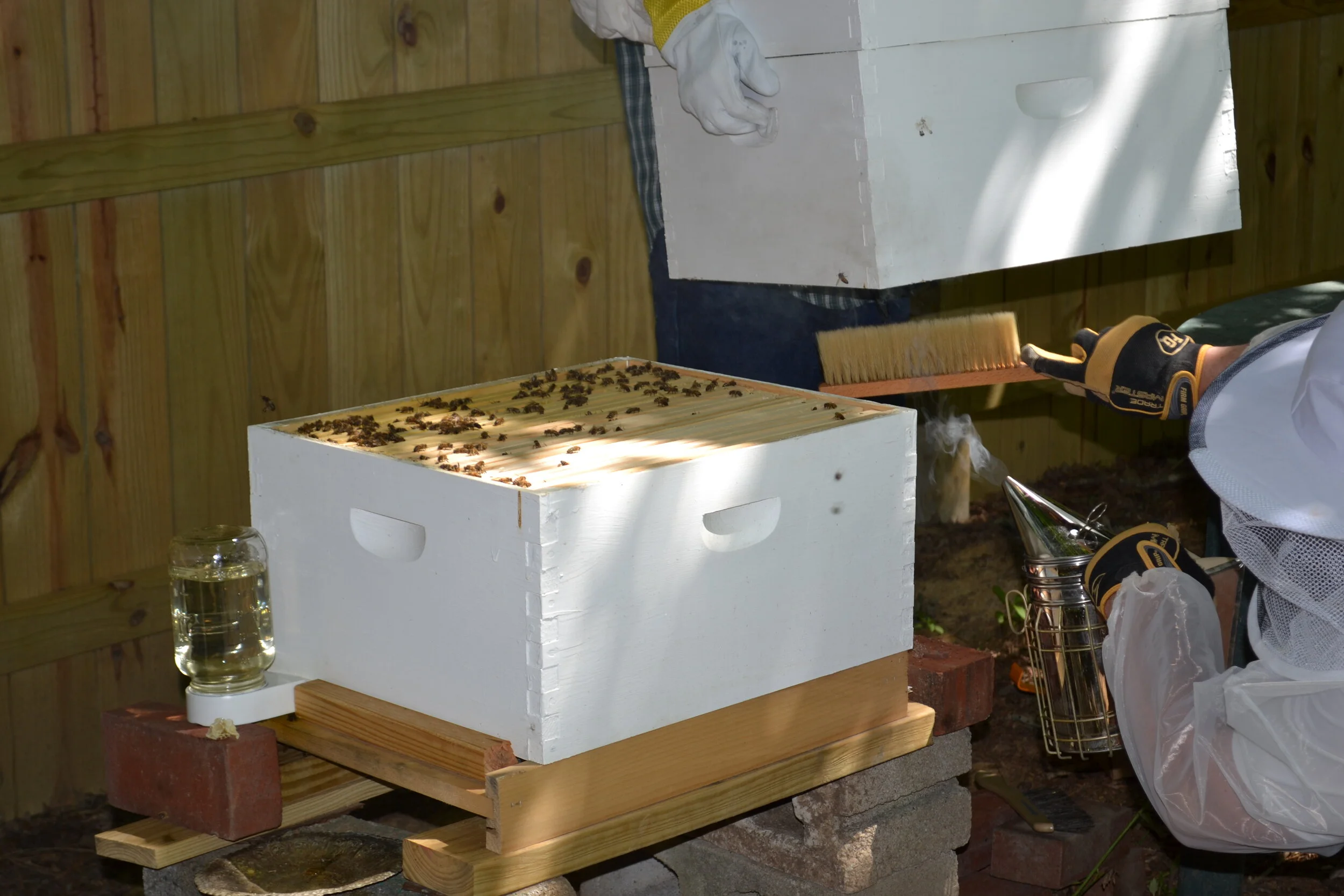 Painted Deep Hive Body