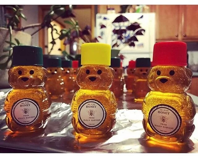 3 Pack - 2oz - Honey Bear - Holiday Season Mix