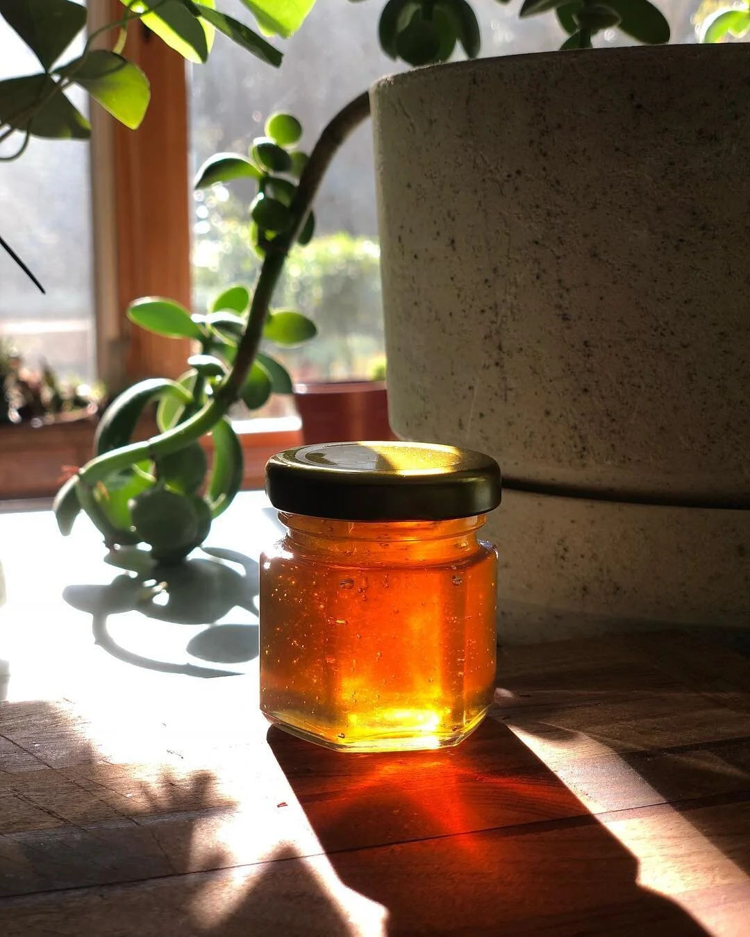 2oz - Hexagonal Honey Jar