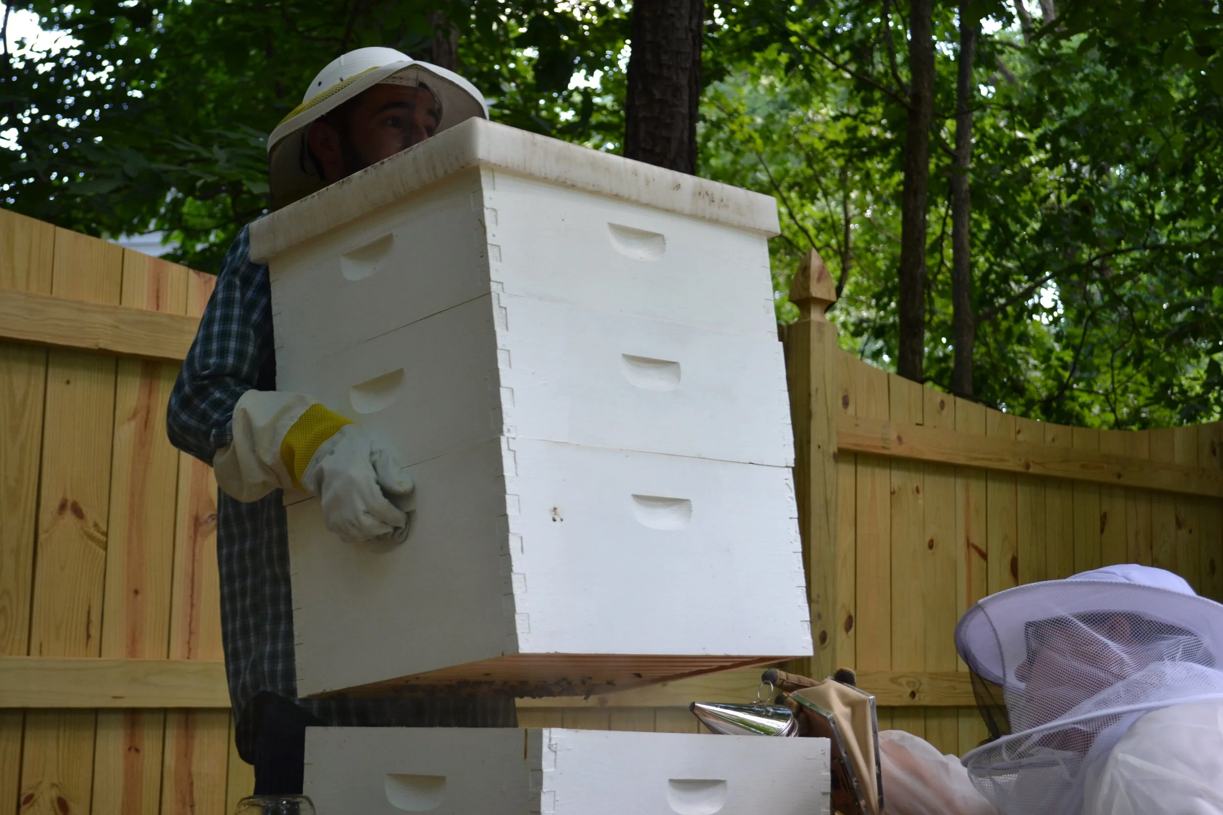 Complete Hive Package