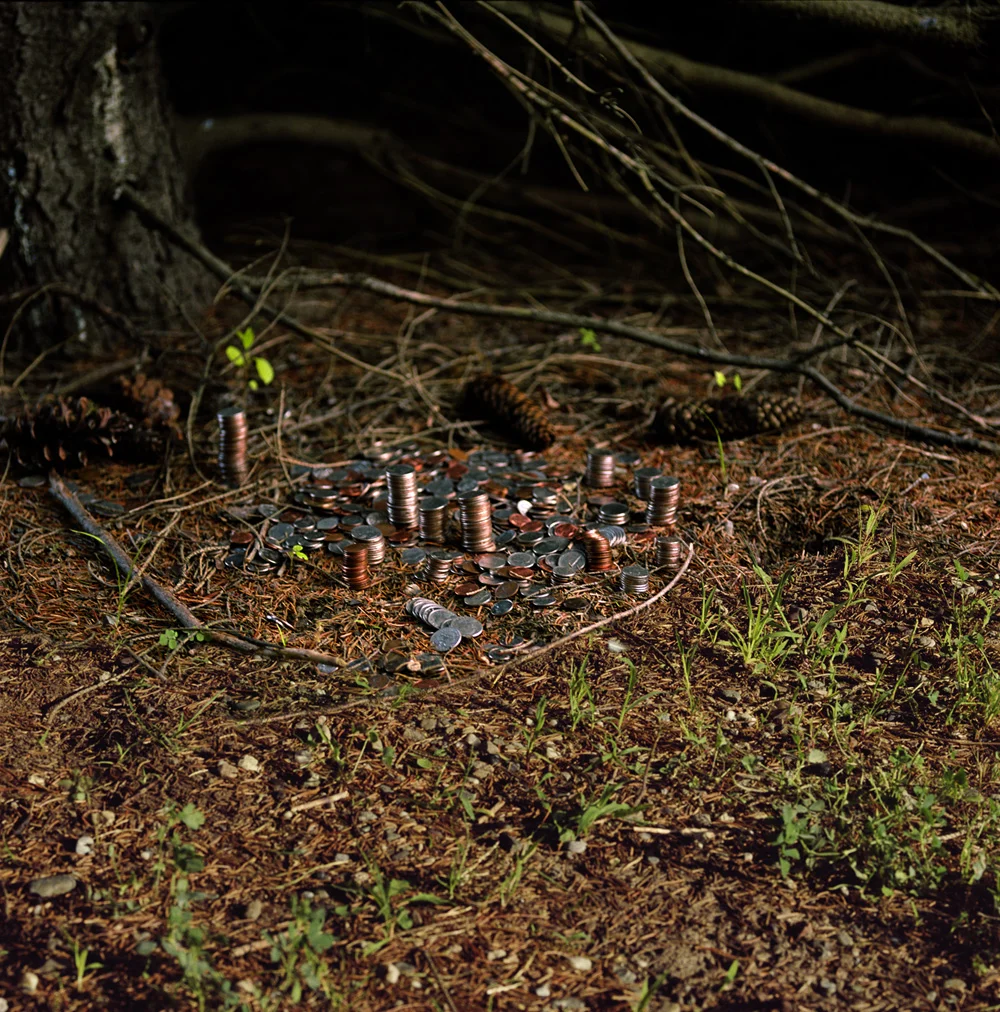 Allowance 2010, 48″ x 48″, lambda print