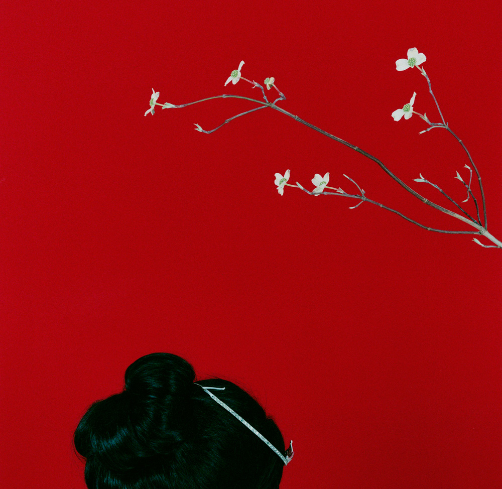    Tiara under red dawn dogwood   2002, 30″ x 33″, c-print 