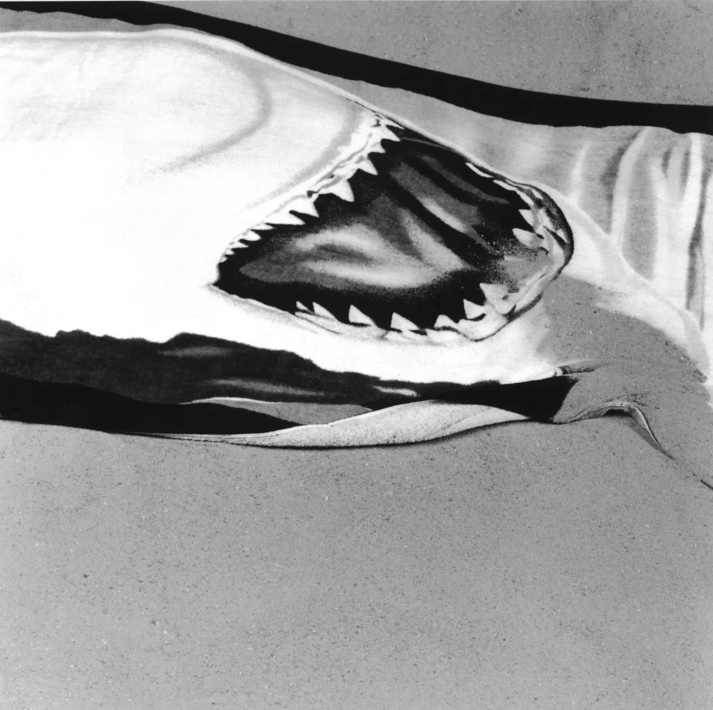 Nothing to do with Me 1999, 30″ x 30″, b/w fiber print
