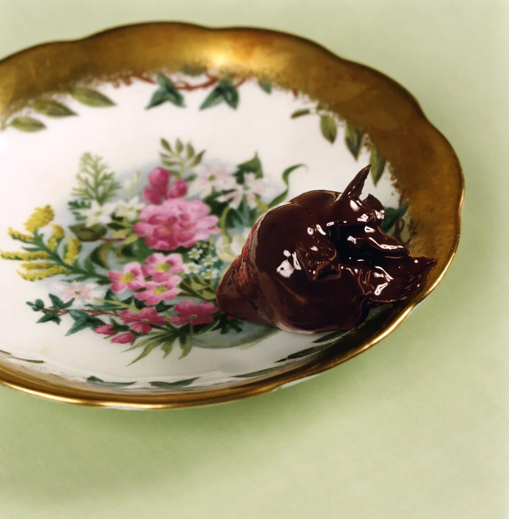    Lovely Swallowed Whole   2001, 24″ x 28″, lambda print 