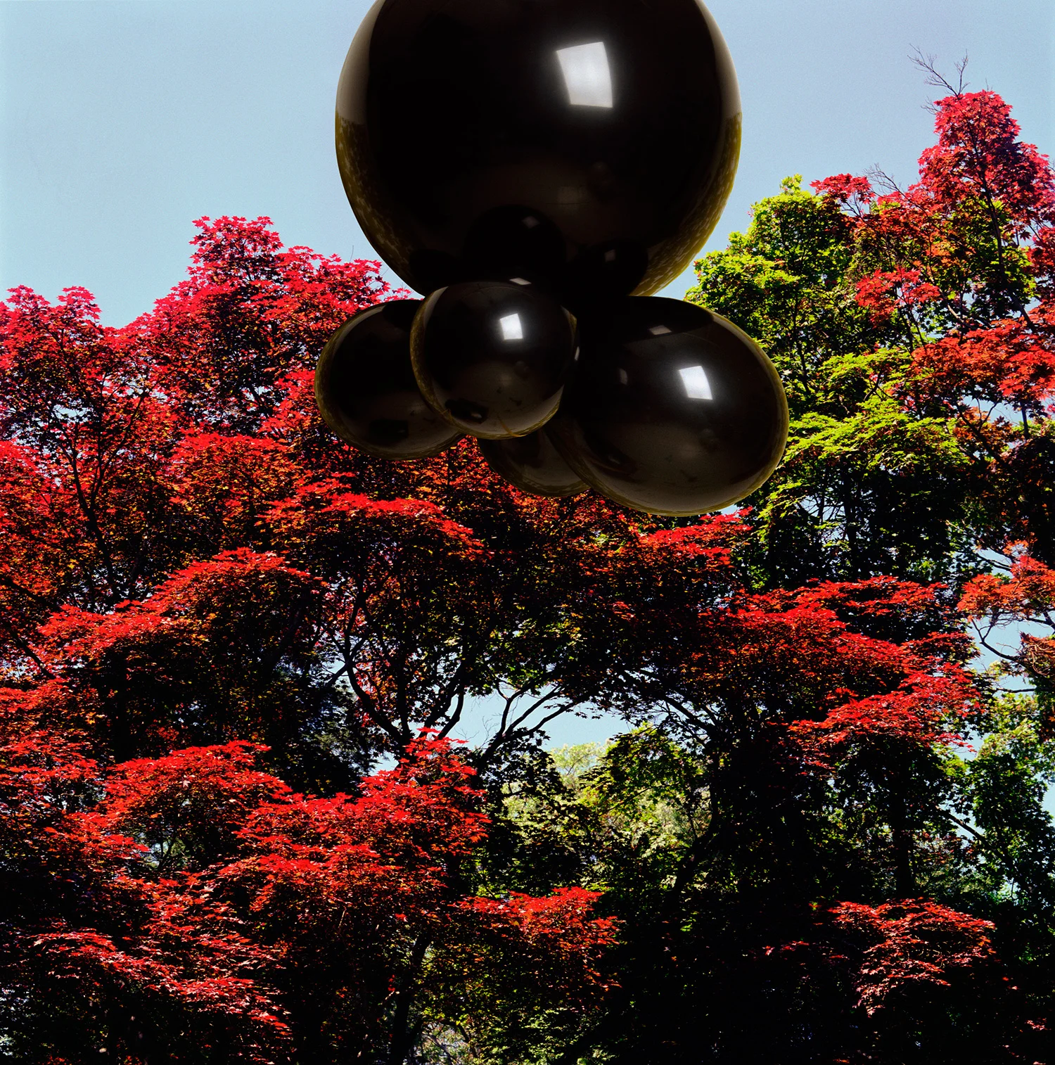 Experimental Gene 2007, 40″ x 40″, lambda print