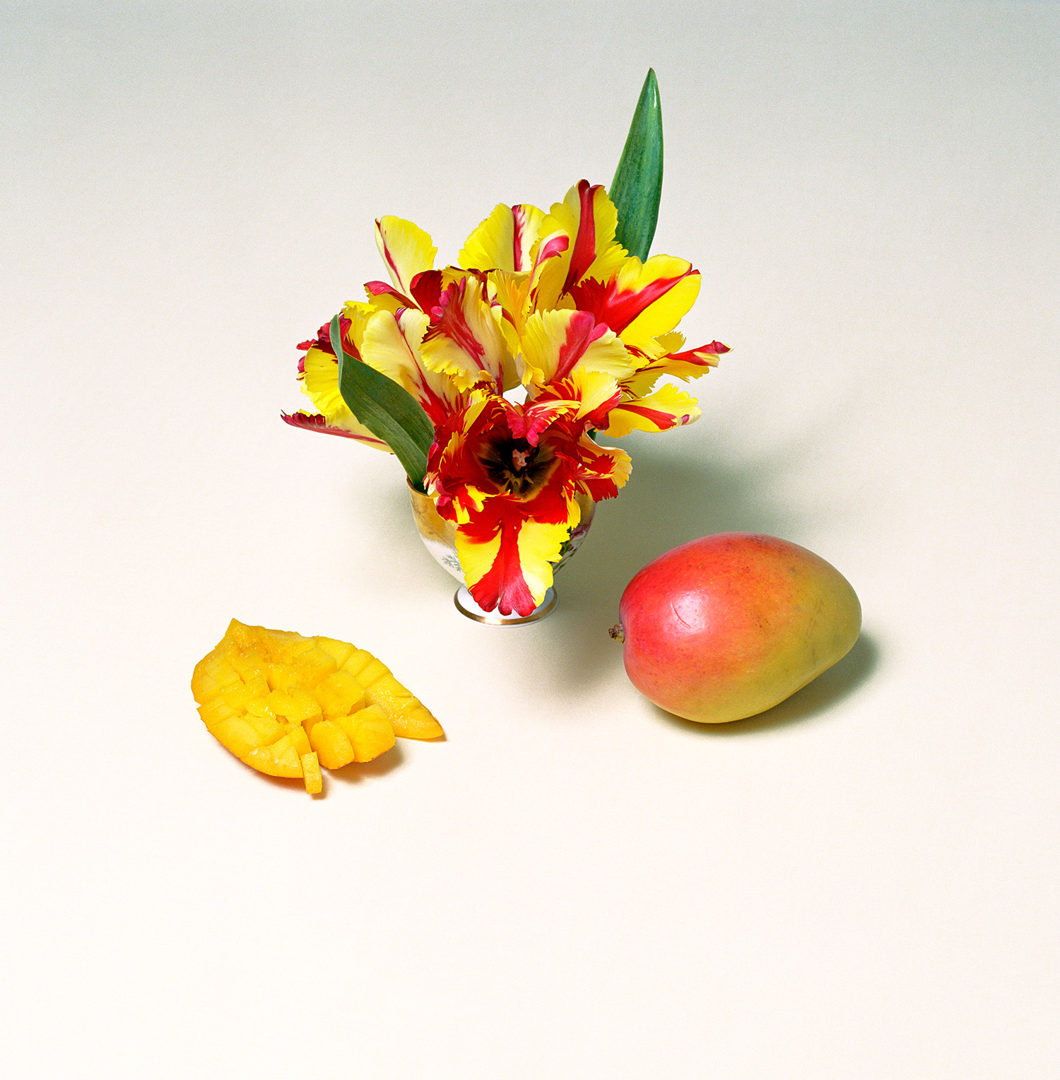    Fruit of the Month   2007, 35″ x 35″, lambda print 