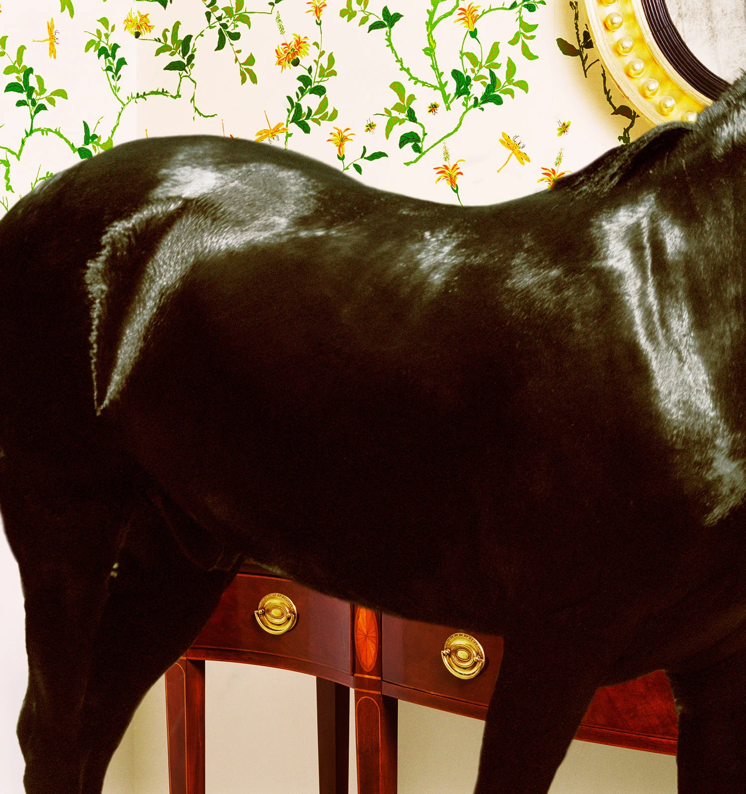    Little Icky   2007, 40″ x 38″, lambda print 