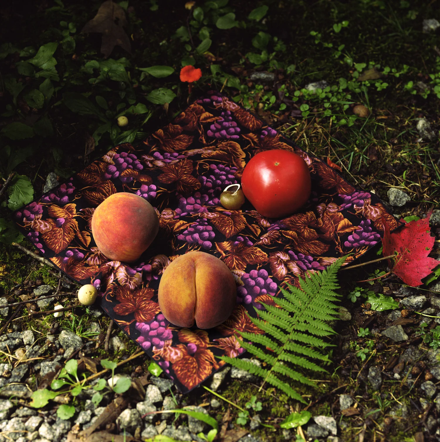    Principals &amp; Partners   2009, 40″ x 40″, lambda print 