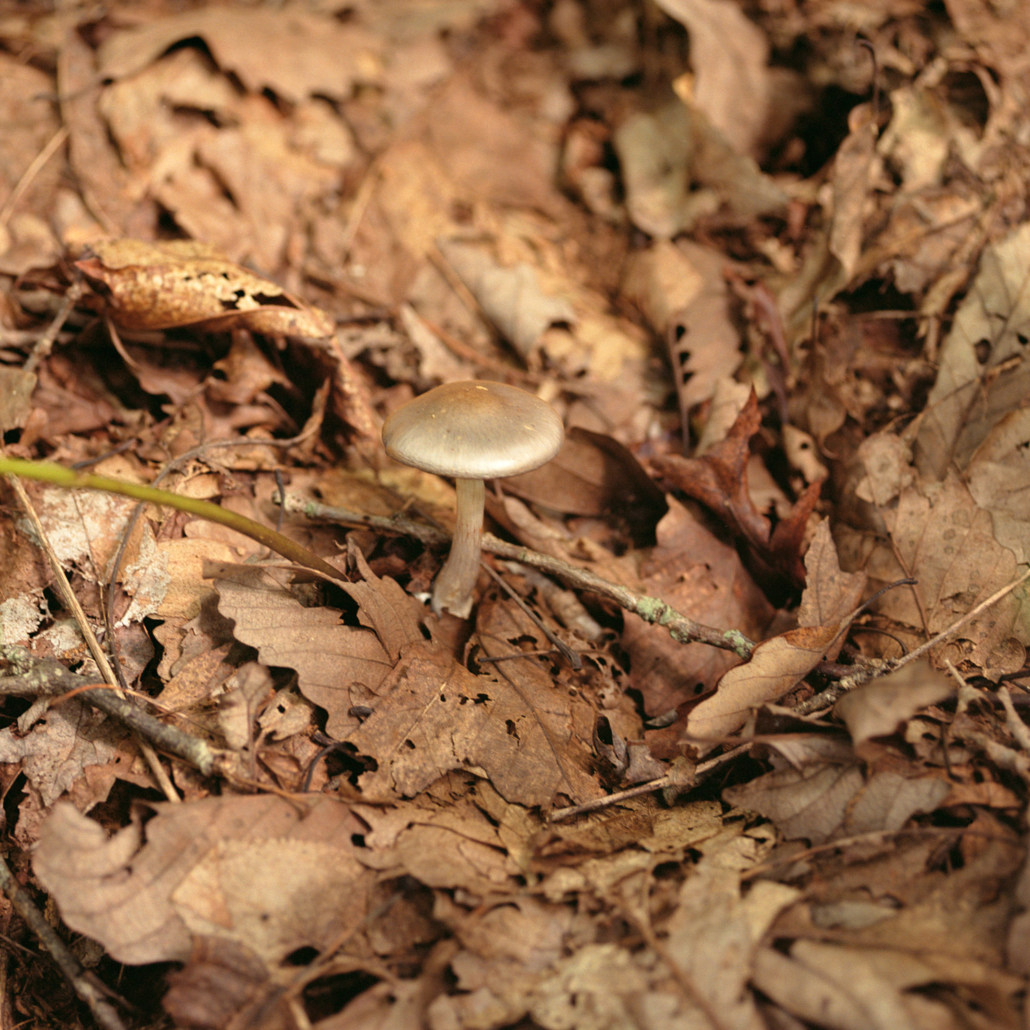    
  
&nbsp;  
  
    
  
&nbsp;  Normal 
&nbsp;  0 
&nbsp;  
&nbsp;  
&nbsp;  
&nbsp;  
&nbsp;  false 
&nbsp;  false 
&nbsp;  false 
&nbsp;  
&nbsp;  EN-US 
&nbsp;  JA 
&nbsp;  X-NONE 
&nbsp;  
&nbsp;&nbsp;  
&nbsp;&nbsp;  
&nbsp;&nbsp;  
&nbsp;&nb