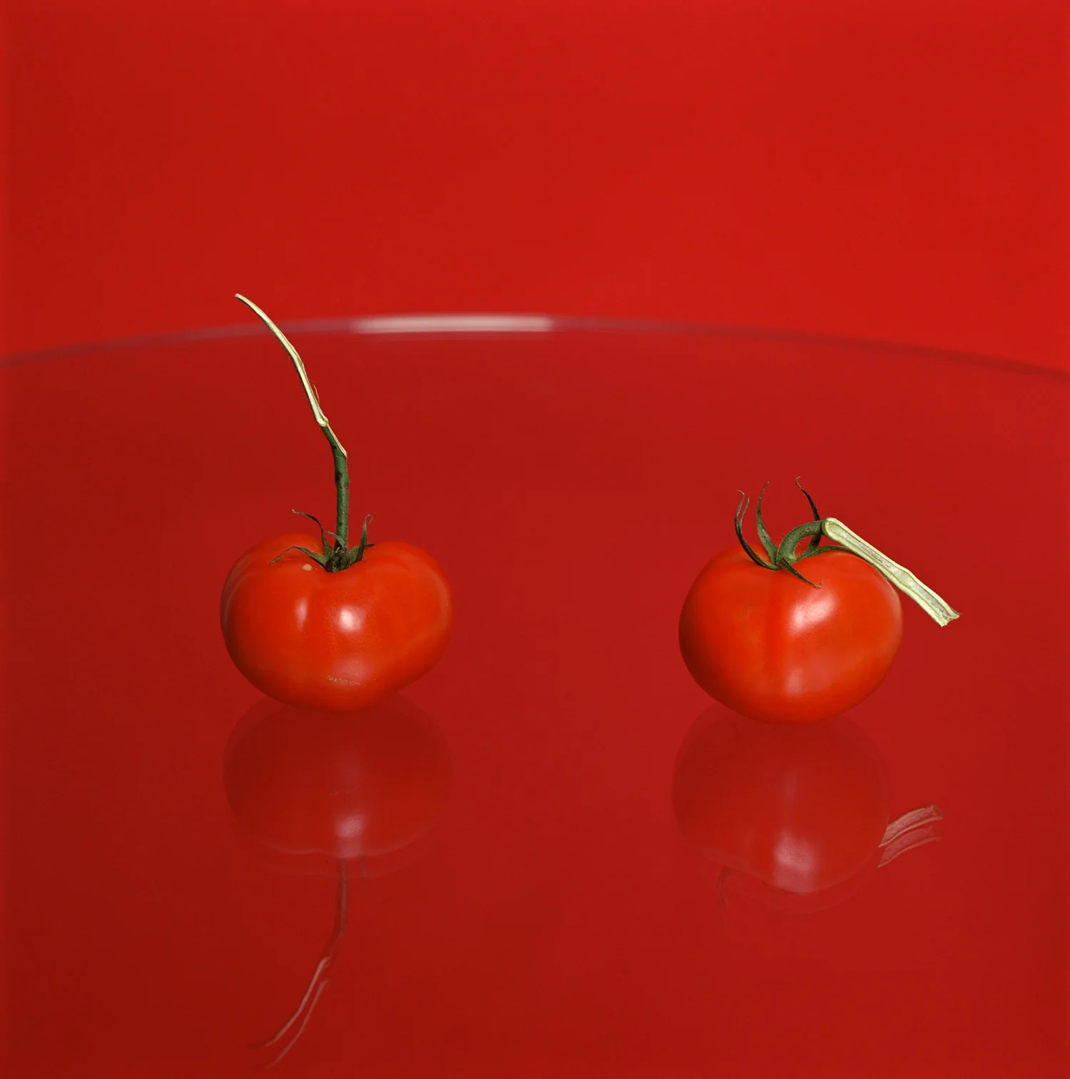    The Soft Skin   2012, 15″ x 15″, lambda print 