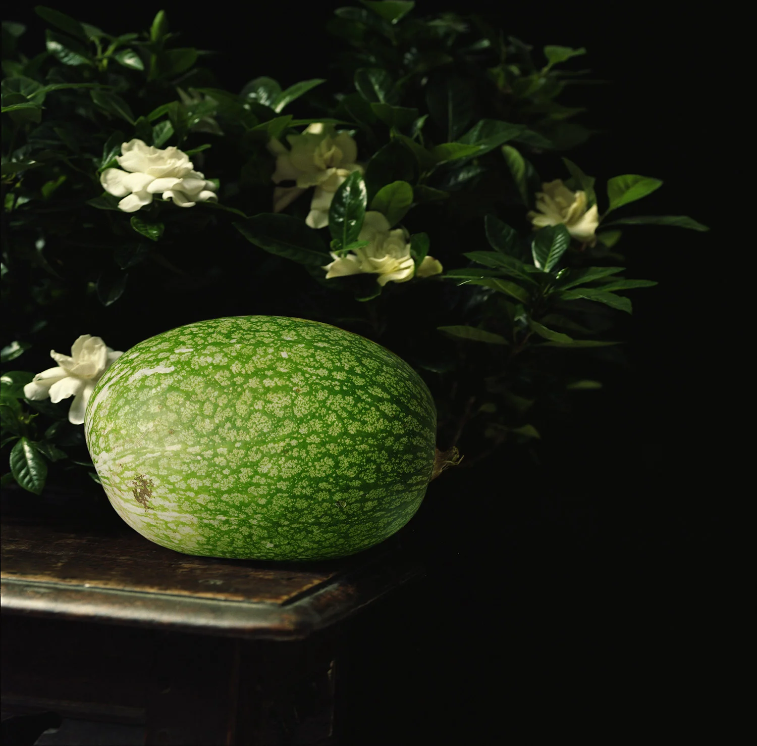    Sitting Room   2014, 24" x 24", lambda print 