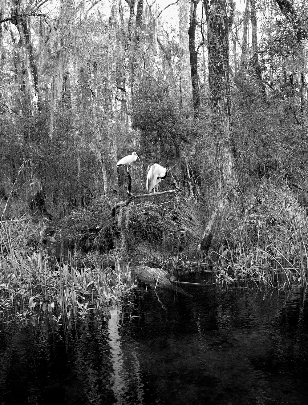    Fellowship   2016, 19" x 25", archival pigment print 
