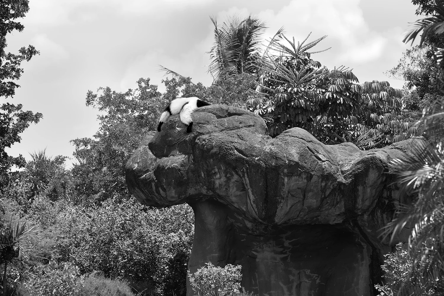    Protective Edge   2016, 24" x 19", archival pigment print   