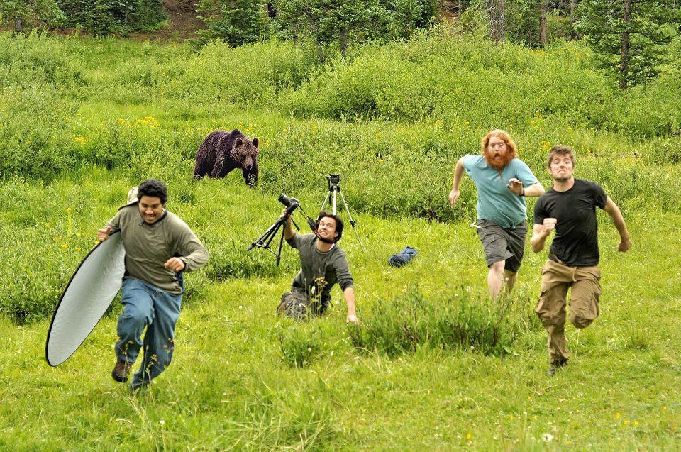 On Assignment.jpg