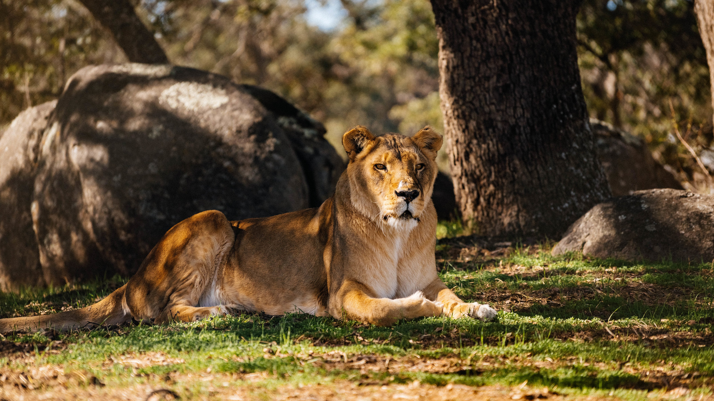 Arusha - JP.jpg