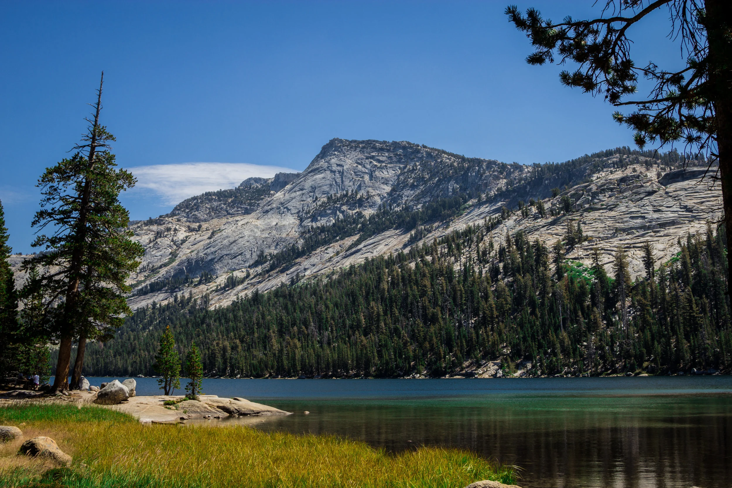 Yosemite 2016_Day3_029.jpg