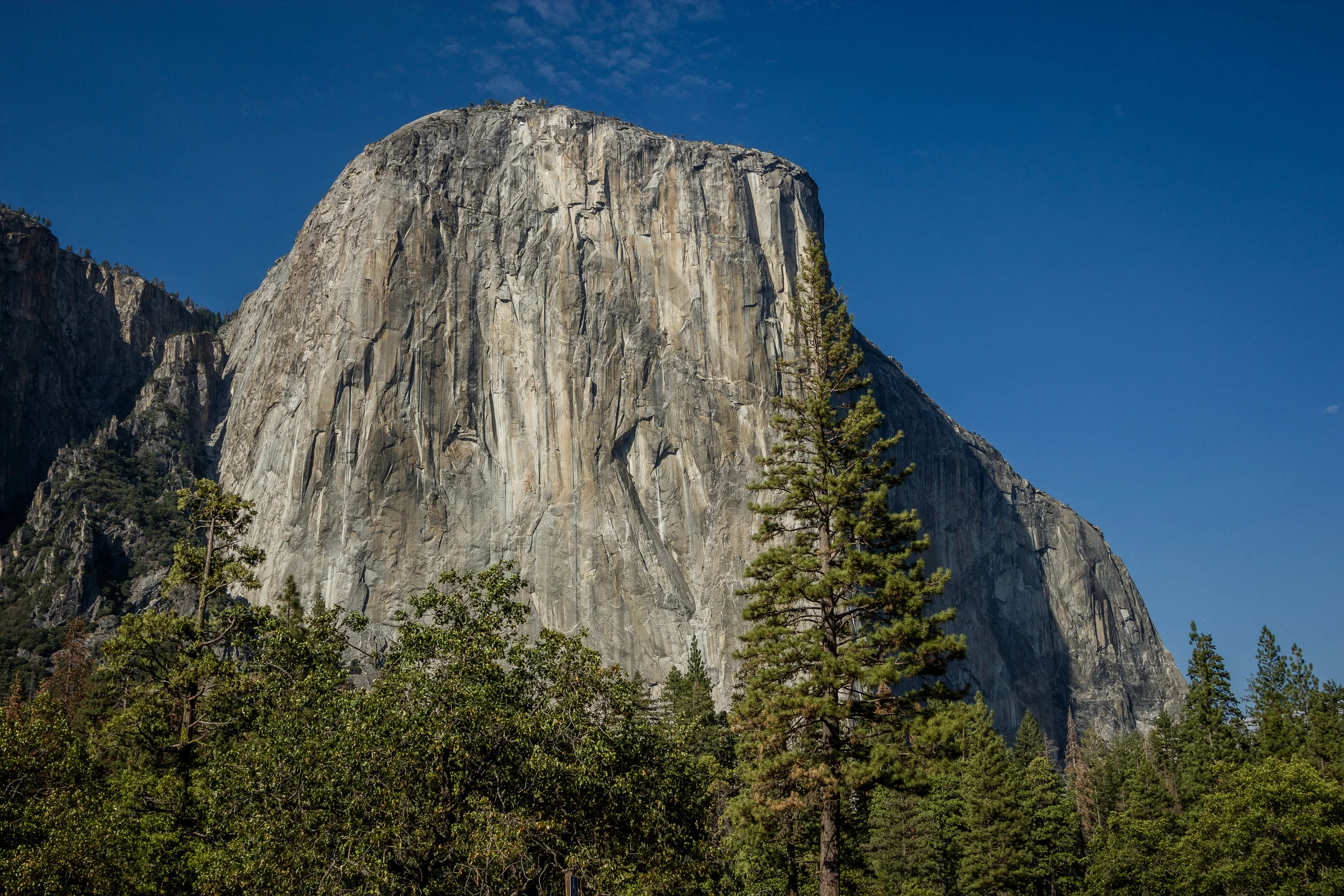 Yosemite 2016_Day3_051.jpg
