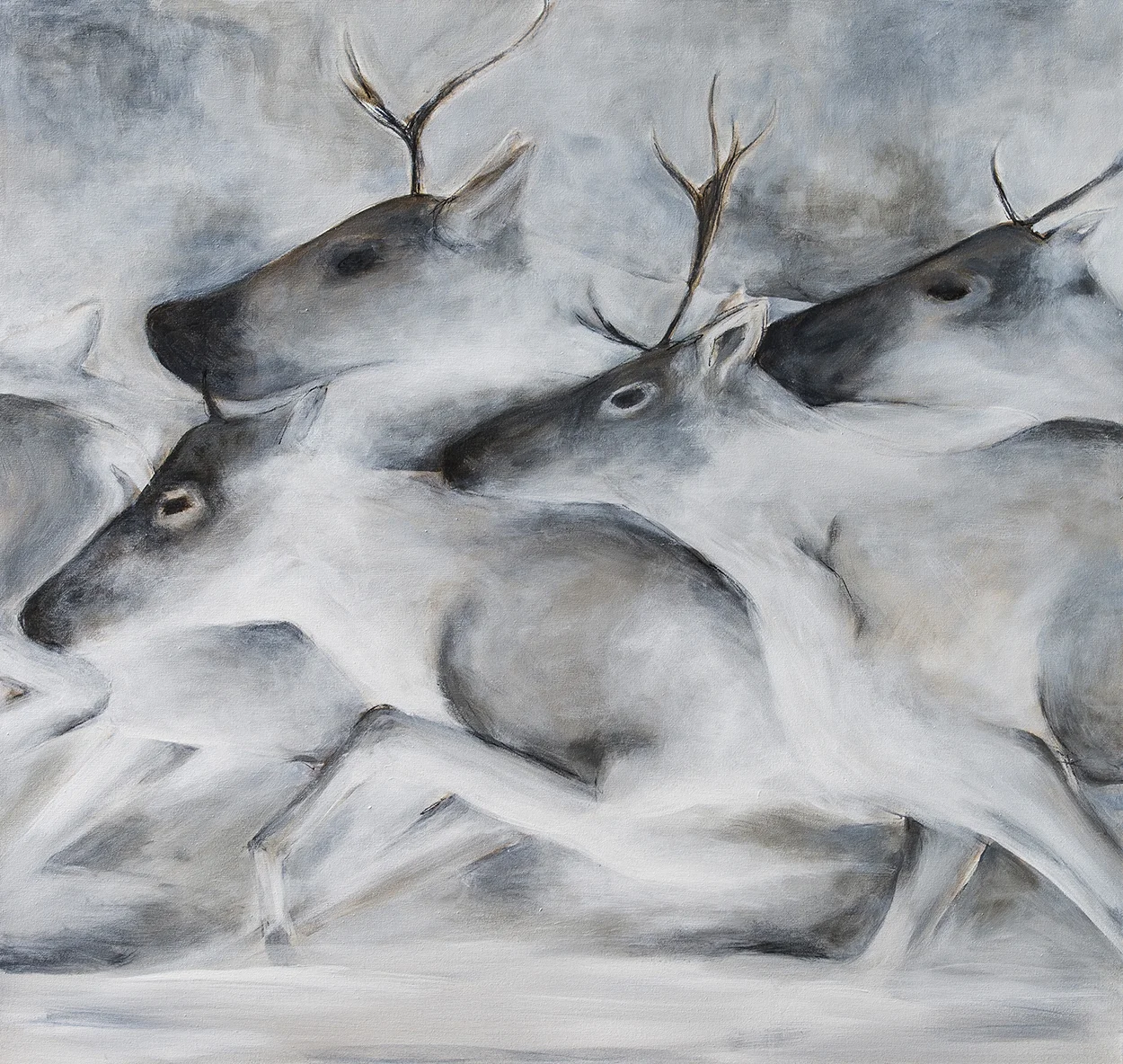 WINTER CARIBOU - acrylic on canvas 34"x36"