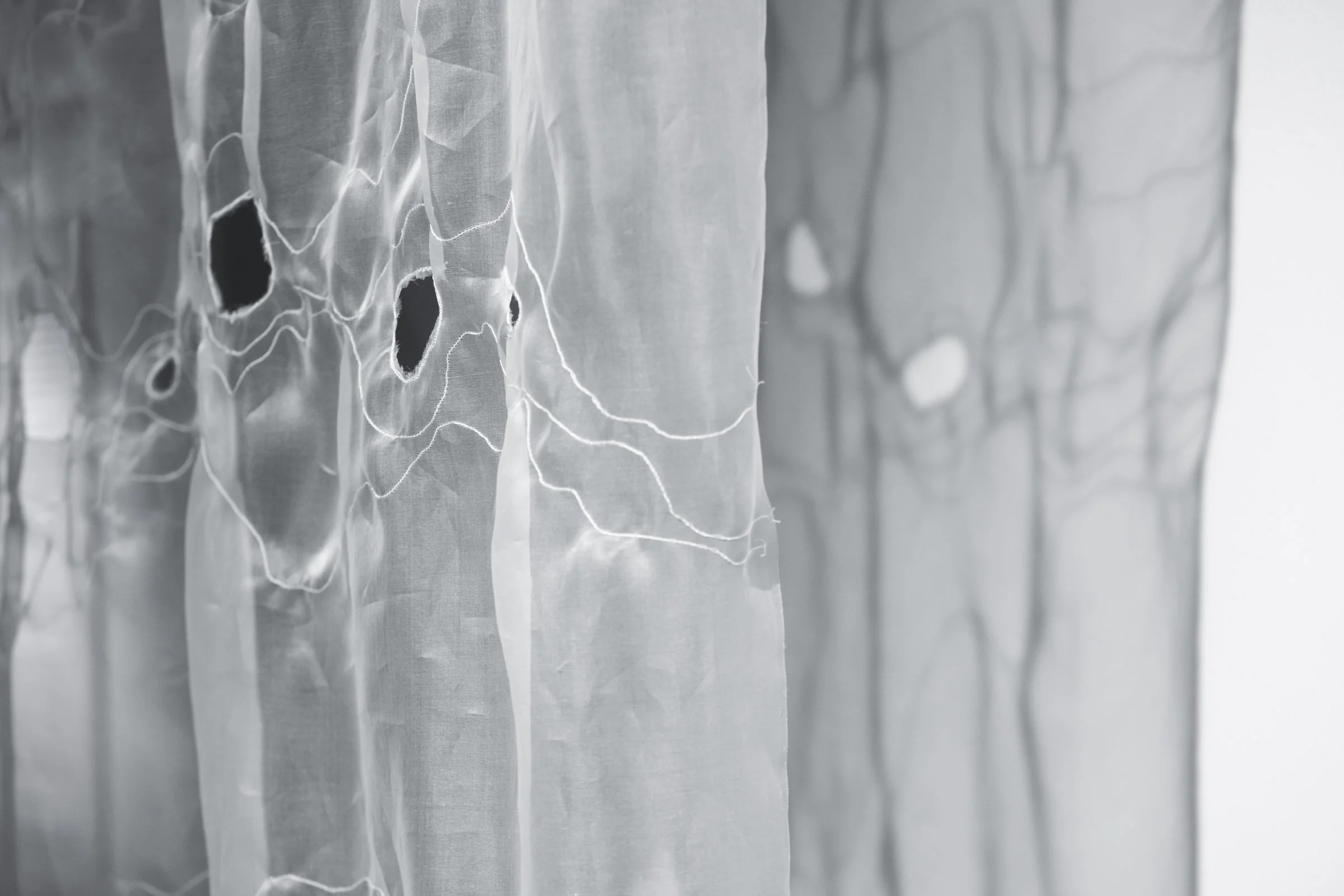 stitched silk organza with shadows.jpg