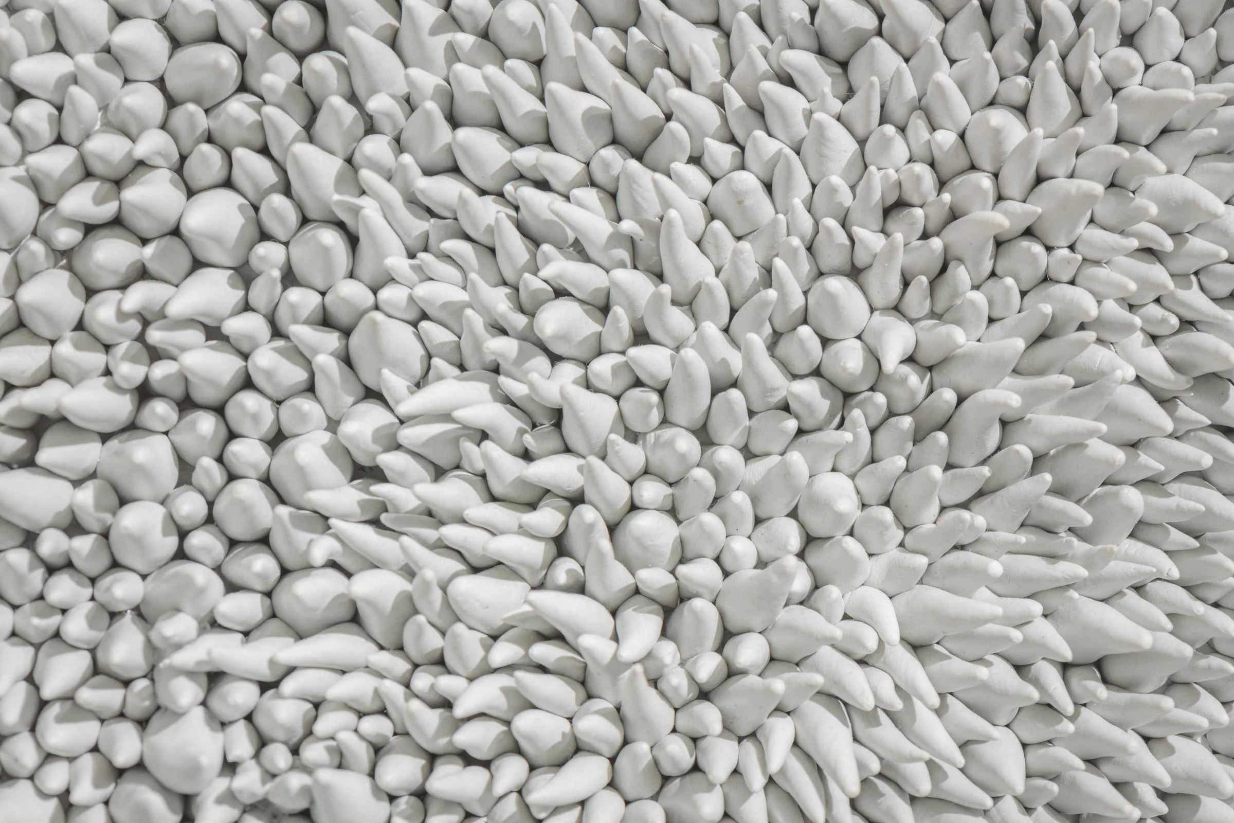 detail biomorphic.jpg