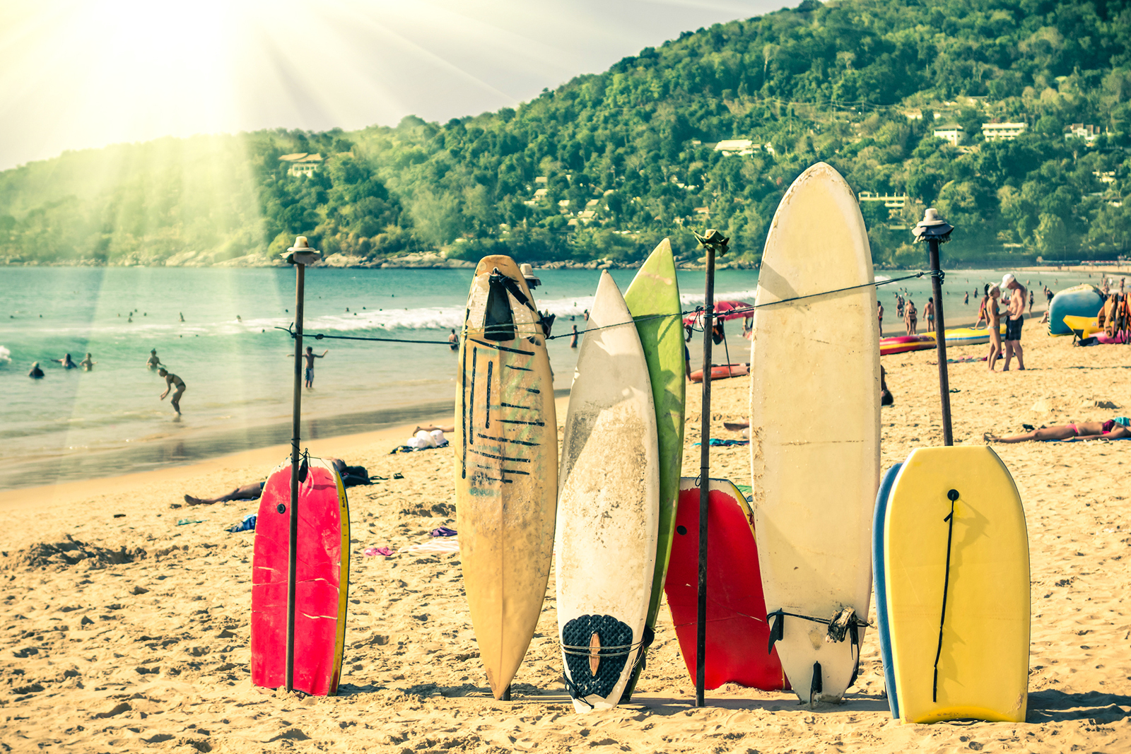 AdobeStock_62737217.jpg