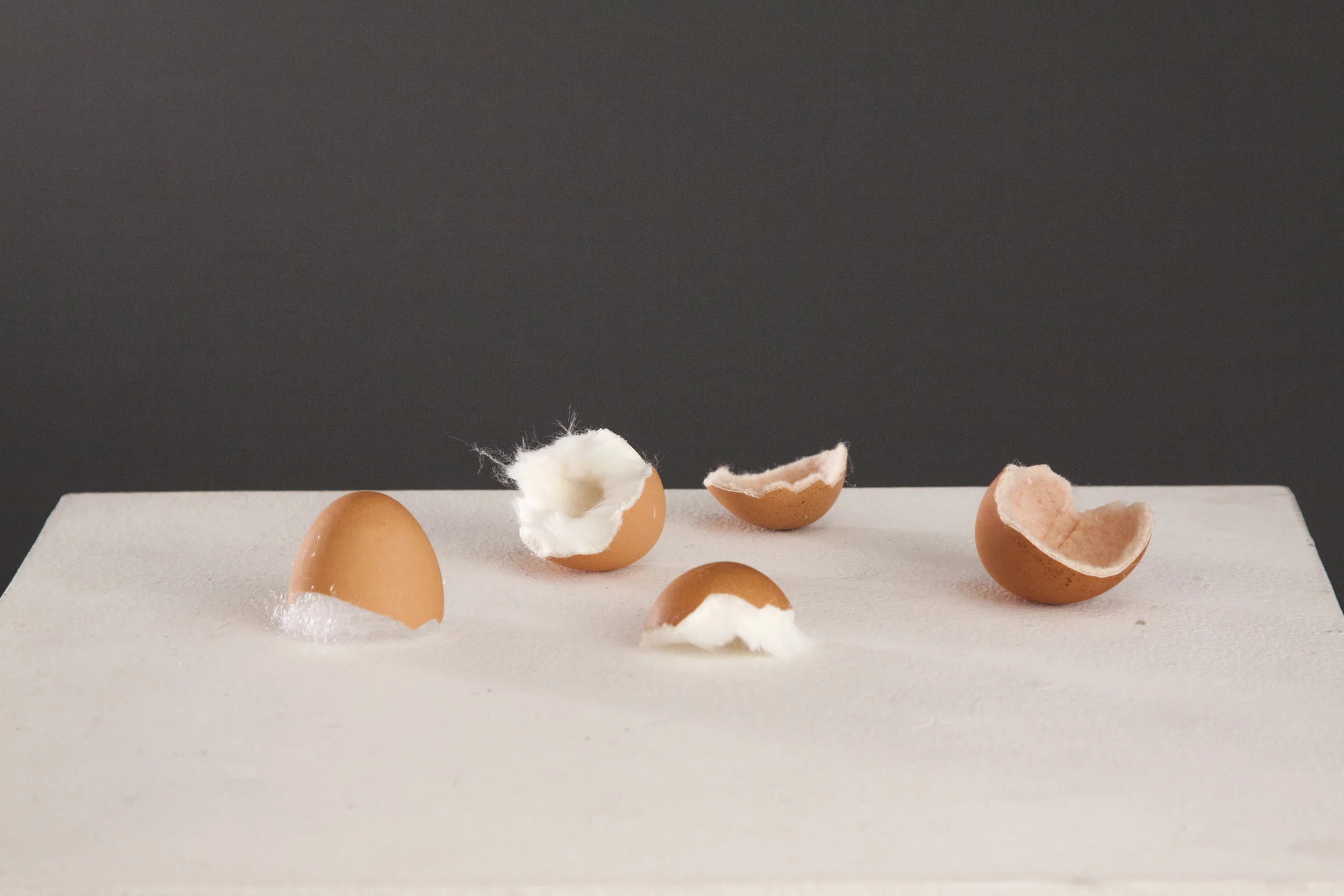 Egg Shells