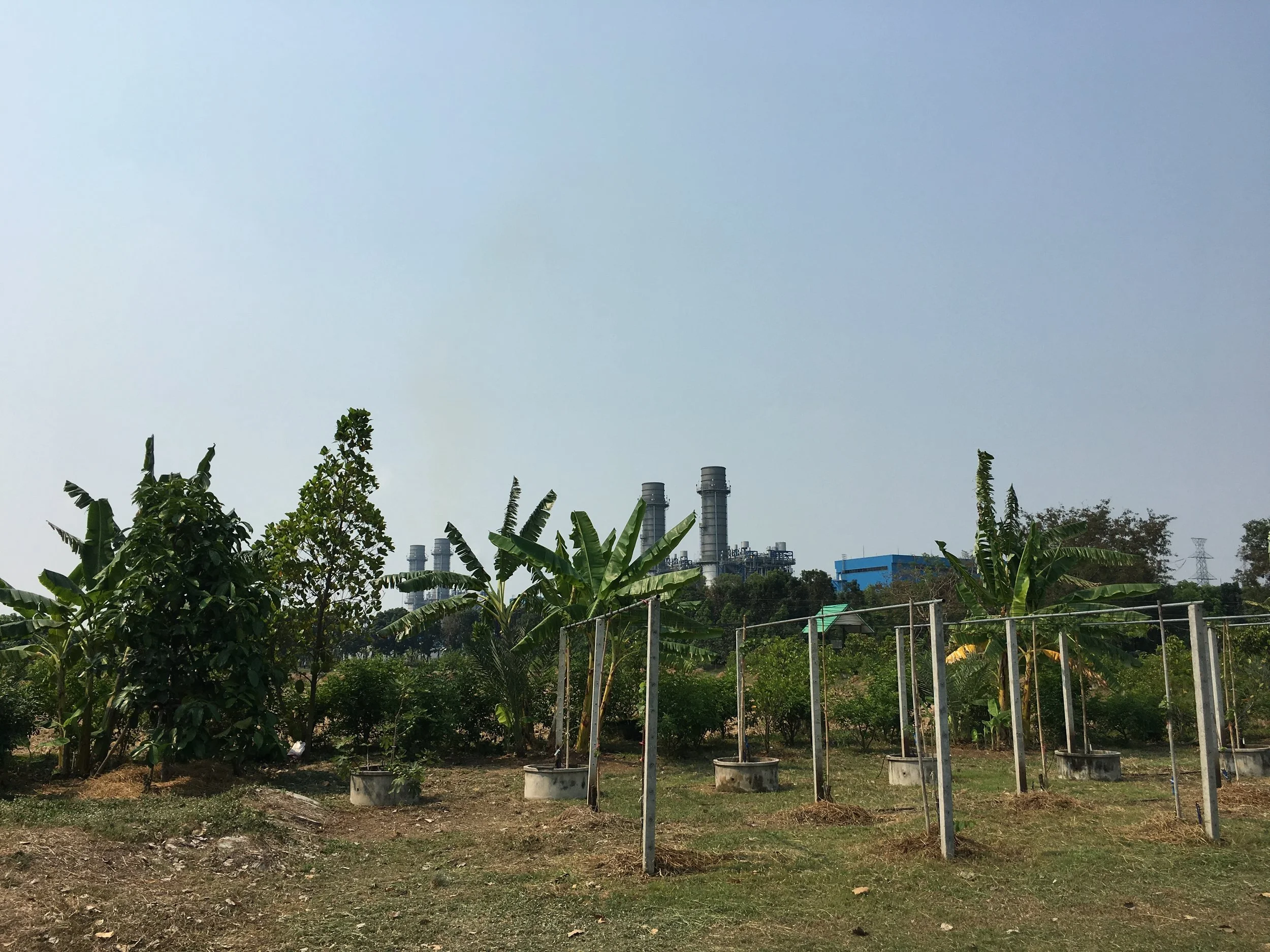 COMPANY SPOTLIGHT: Corporate Social Responsibility at Gulf Group