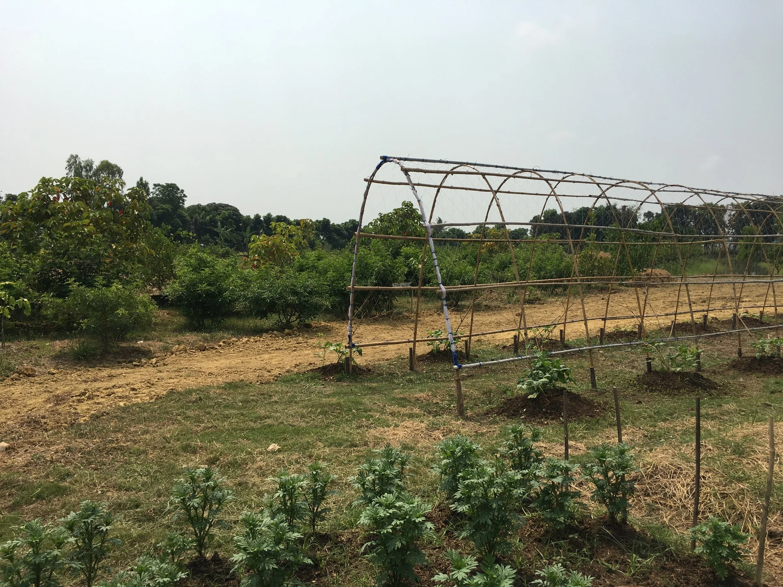 COMPANY SPOTLIGHT: Consulting at Gulf Group