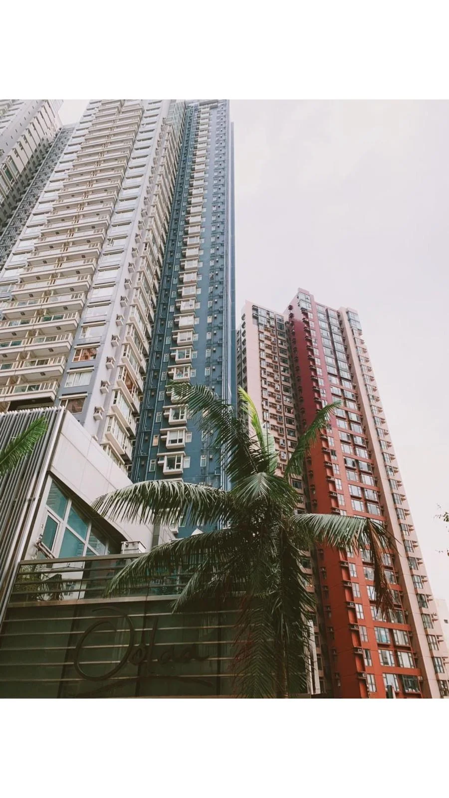 Student guide to traveling and living abroad in Hong Kong