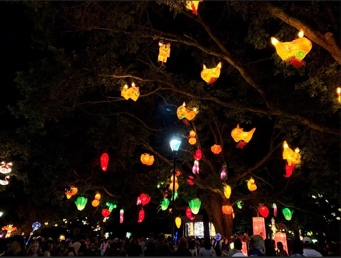 Lantern Festival: Auckland, 2019- MacKenzie Weil