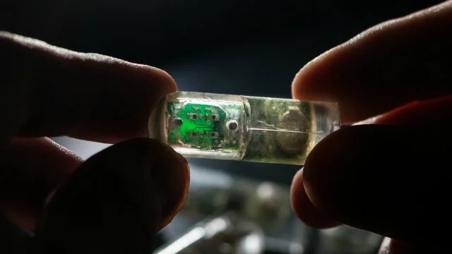 Biosensor to detect internal bleeding inside of a pig’s colon