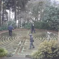 Peace Days for Women