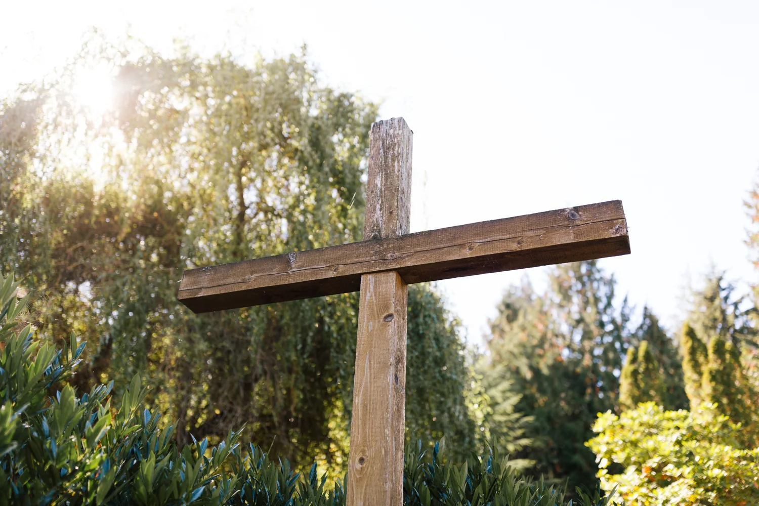 14th Sunday in Ordinary Time (A Thorn in the Flesh)