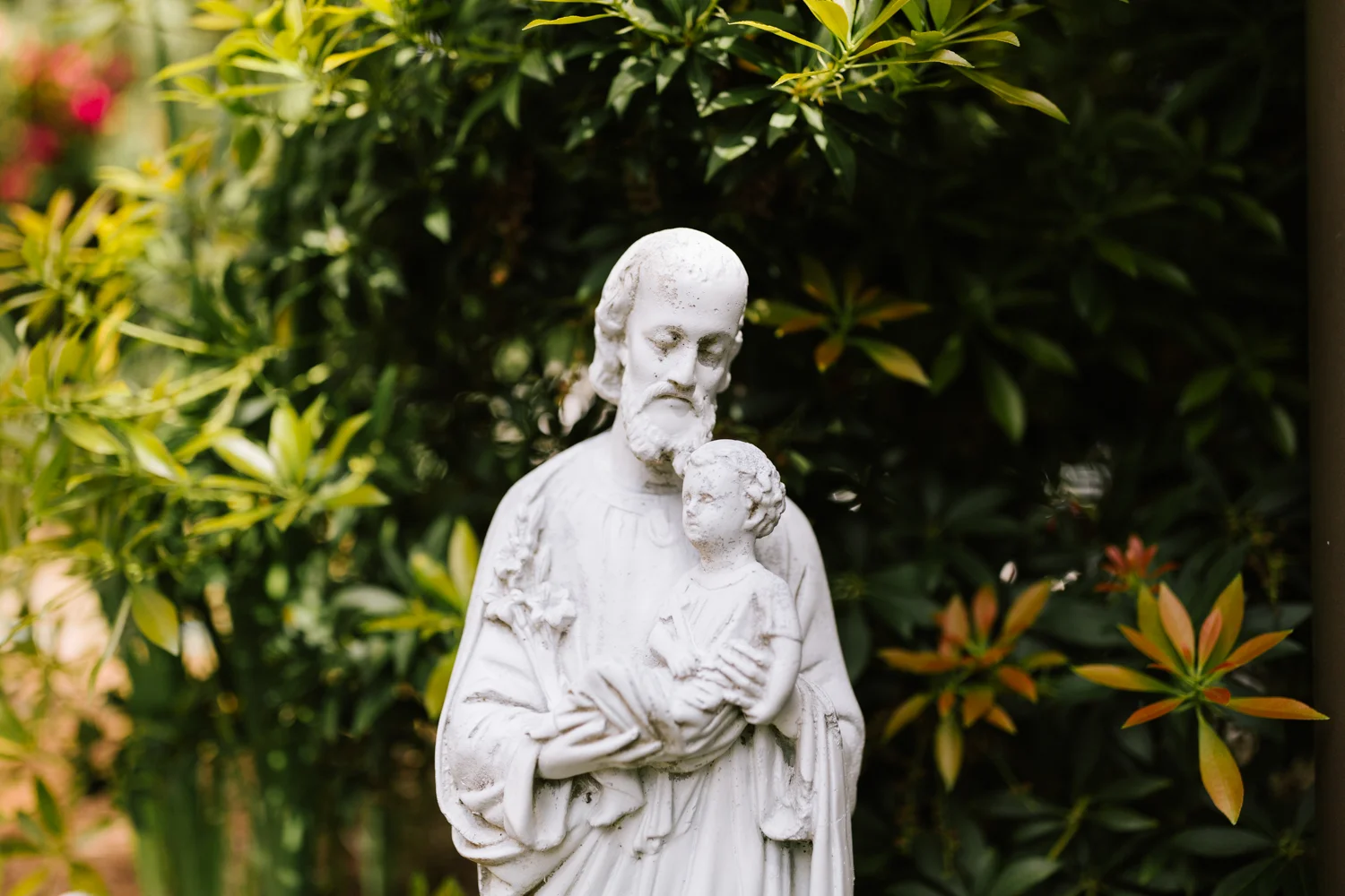 5th Sunday in Ordinary Time (Being Present to Suffering)