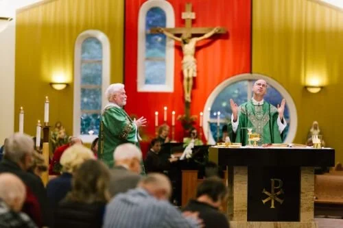 Seventh Sunday of Ordinary Time: Revenge