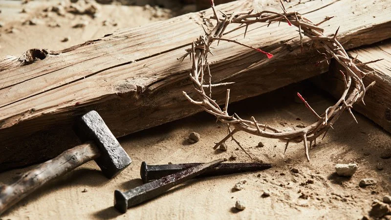 8th Sunday in Ordinary Time (The Splinter in Your Own Eye)