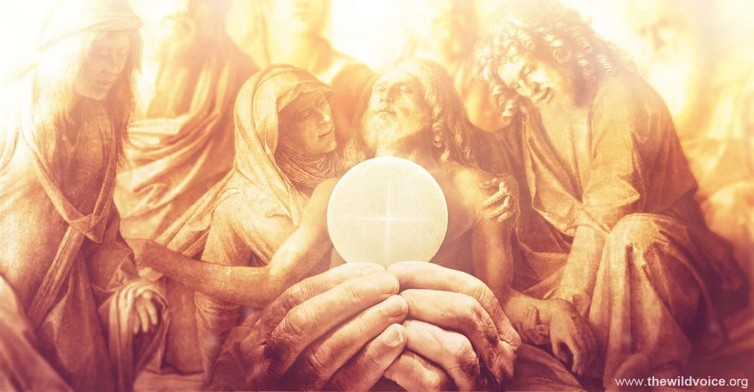28th Sunday of Ordinary Time (Valuing Human Life)