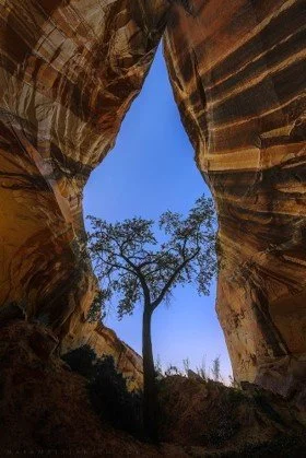 19th Sunday of Ordinary Time (The Whipering Sound)