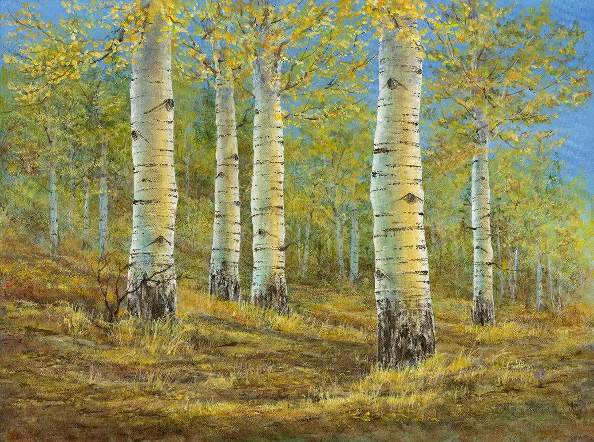 Glade Park Grove