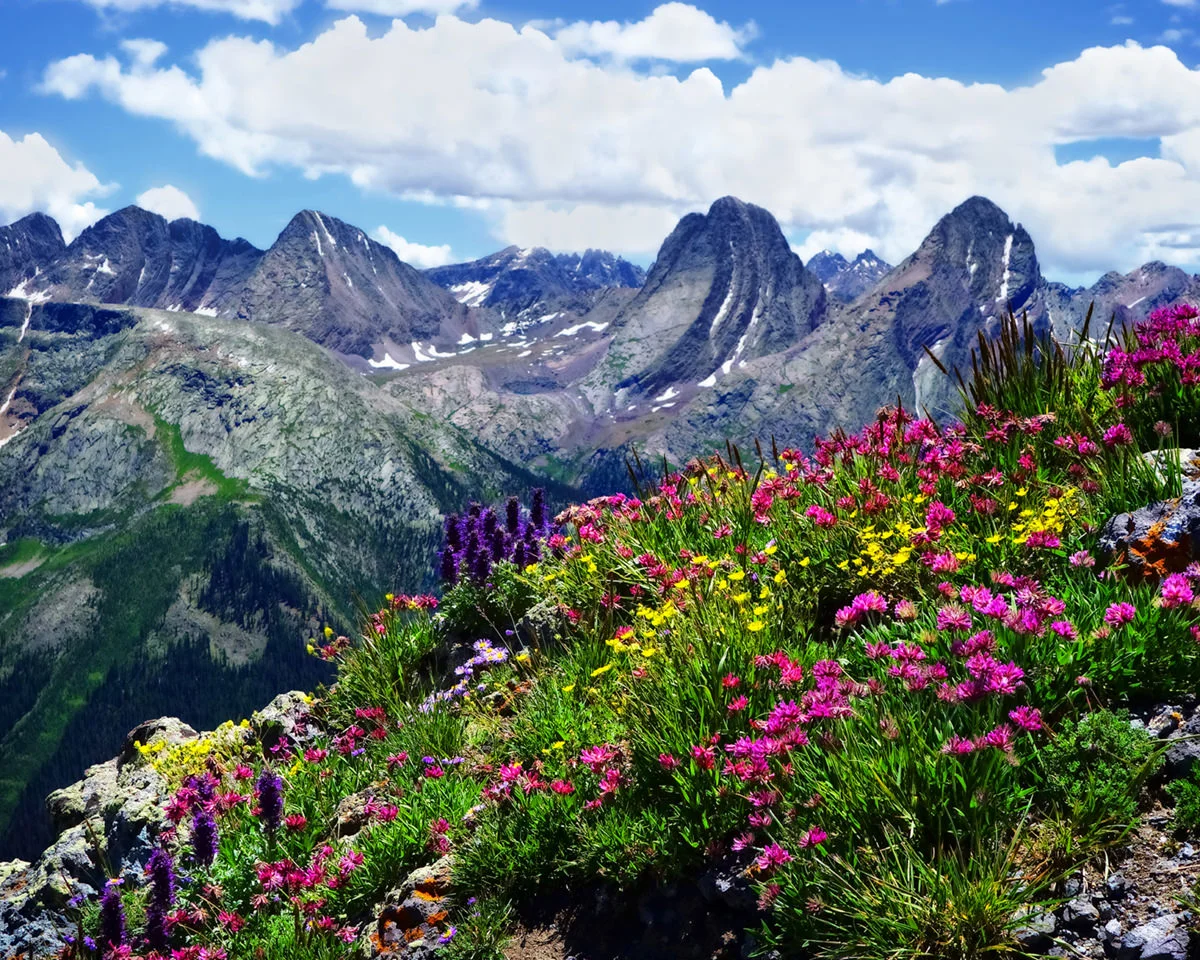 A Flowering Spectacle