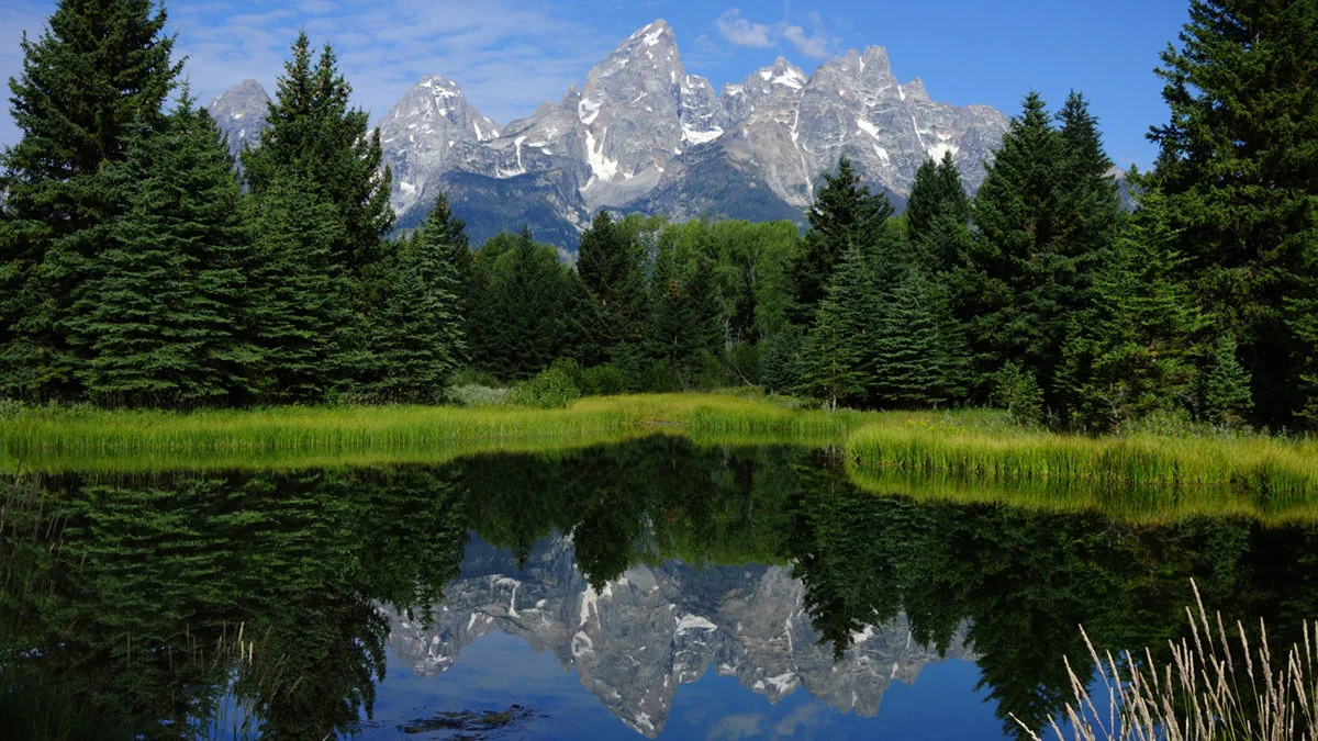 Reflections on the Grand