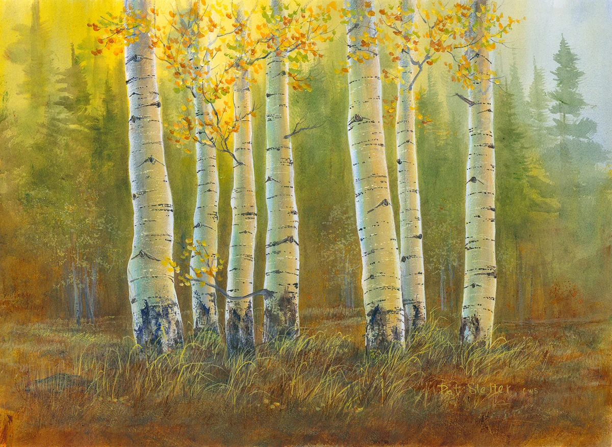 pat-stelter-colorado-favorites.jpg