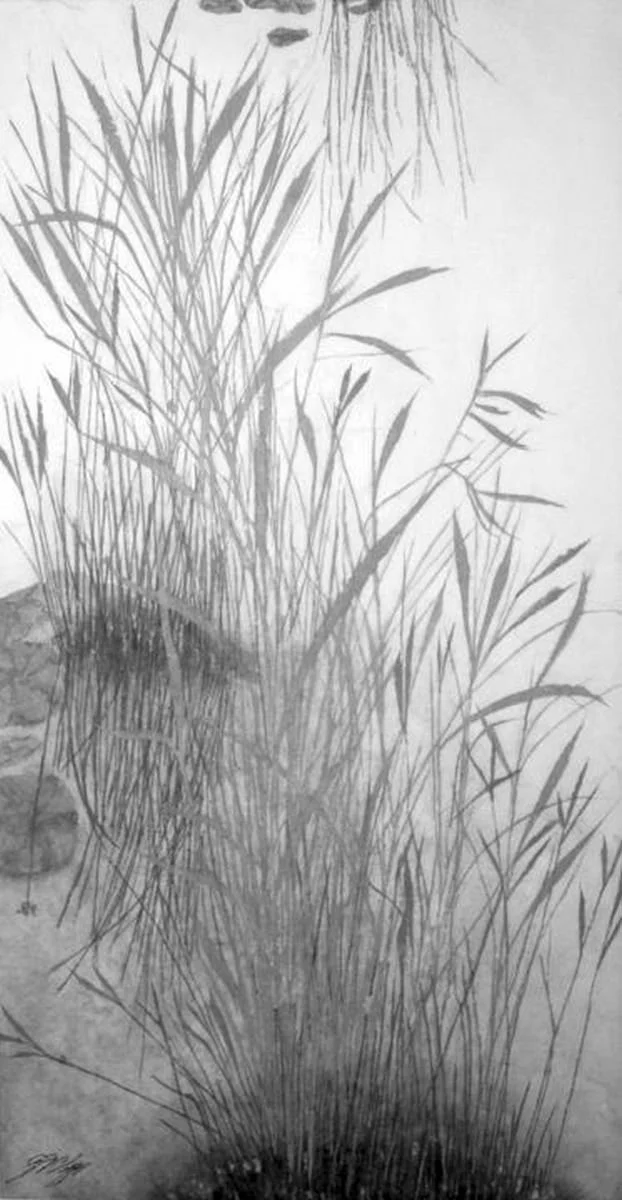 Pond With Reeds