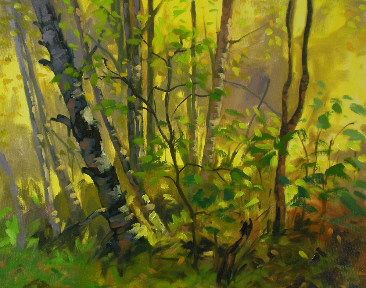 Birch Grove, East Talkeetna