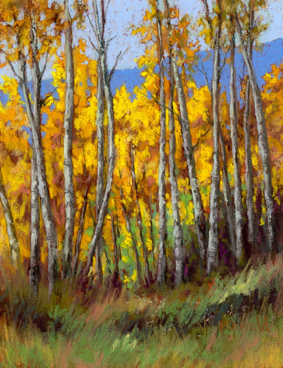 High Country Color